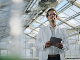 Portrait of a confident scientist holding tablet in a greenhouse - JOSEF01584