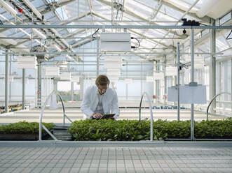 Scientist with tablet examining plants in a greenhouse - JOSEF01586