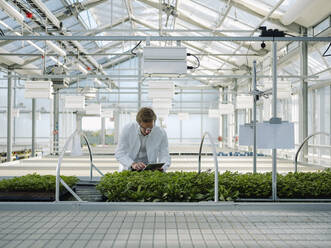 Wissenschaftlerin mit Tablet bei der Untersuchung von Pflanzen in einem Gewächshaus - JOSEF01586