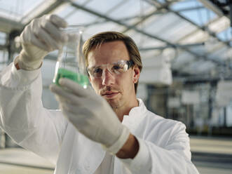 Scientist examining liquid in a greenhouse - JOSEF01592