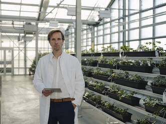 Portrait of a scientist holding tablet in a greenhouse - JOSEF01595