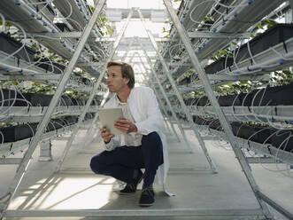 Scientist holding tablet in a greenhouse - JOSEF01597