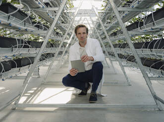 Portrait of a scientist holding tablet in a greenhouse - JOSEF01598