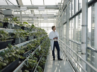Scientist holding tablet in a greenhouse looking out of window - JOSEF01601