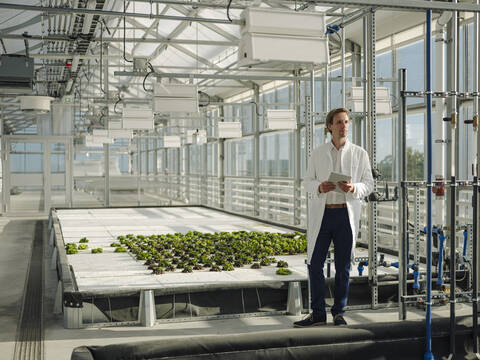 Scientist holding tablet in a greenhouse stock photo