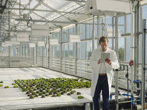 Scientist using tablet in a greenhouse stock photo