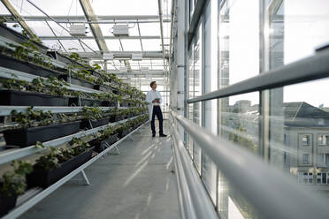 Scientist holding tablet in a greenhouse looking out of window - JOSEF01618