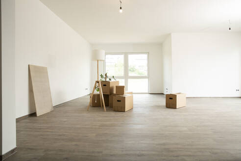 Electric lamp with cardboard boxes on hardwood floor in new house - MJFKF00547