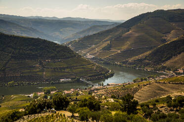 Scenic view of terraced hills surrounding river Douro - NGF00643