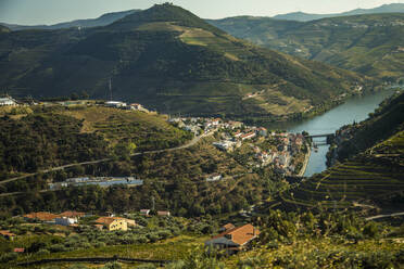 Portugal, Porto District, Porto, Countryside village in summer with terraced hills and Douro river in background - NGF00646