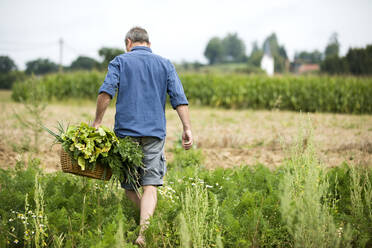 Landwirt hält Korb beim Spaziergang auf dem Bauernhof - MAEF13010