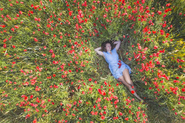 Young woman with hands behind head lying on poppy field - ASCF01451