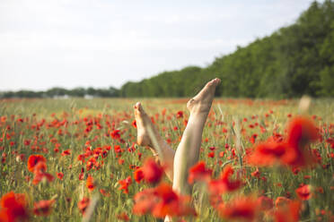 Young woman feet up in field of poppy flower - ASCF01472