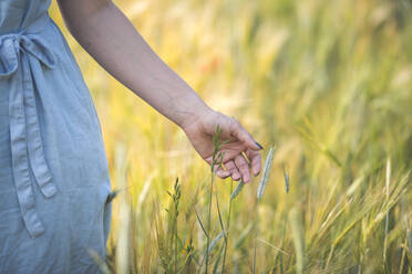 Junge Frau berührt mit der Hand die Ernte, während sie auf einem landwirtschaftlichen Feld steht - ASCF01478