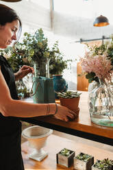 Side view of female florist in apron holding paper bag with potted succulents while preparing order for customer in floristry shop - ADSF13938