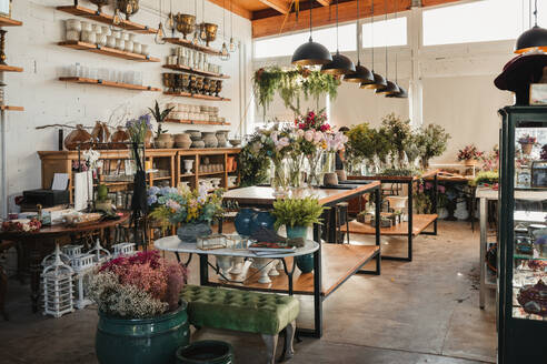 Interior of modern floral shop with various bouquets and decorative pots and vases arranged on wooden counters and shelves inside spacious pavilion - ADSF13941