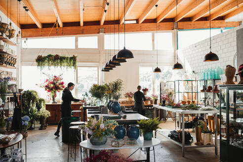 Unrecognizable female florists working in modern spacious light floristry store with various plants arranged in vases on shelves and hanging under ceiling - ADSF13942