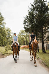 Reiterinnen sitzen auf Kastanienpferden und reiten einen gepflasterten Weg entlang - ADSF13944