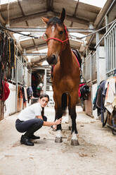 Side view of serious female equestrian with chestnut horse preparing for dressage - ADSF13945