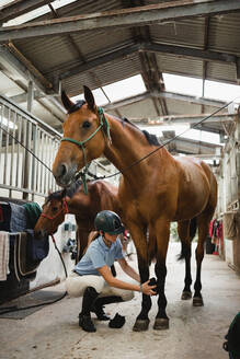 Seitenansicht einer seriösen Reiterin, die ihrem Pferd bei der Vorbereitung auf die Dressur eine Schutzbandage anlegt - ADSF13958