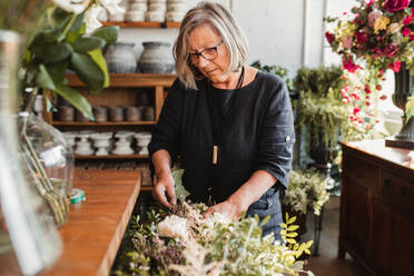 Professional adult female florist choosing green decorative plants for composition while working in cozy floristry studio - ADSF14018