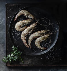 Prawns served in plate on table on dark background - ADSF14111