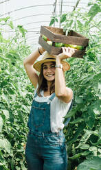 Positive Gärtnerin mit Strohhut und Jeans-Overall, die eine Holzkiste mit verschiedenen Tomaten trägt, während sie zwischen üppigen grünen Tomatenbäumen steht und in die Kamera im Gewächshaus schaut - ADSF14170