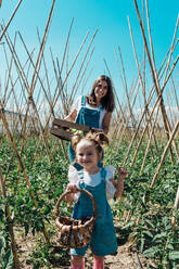 Glückliche Gärtnerin pflückt mit ihrer Tochter Tomaten im Gewächshaus - ADSF14172