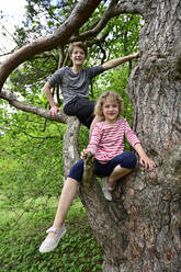 Smiling brother and sister sitting on branch of tree in forest - ECPF01021