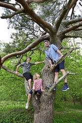 Father playing with children while standing on tree branch in forest - ECPF01022