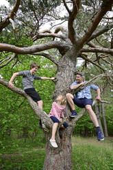 Children and father smiling while sitting on branch of tree in forest - ECPF01023