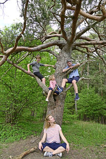 Mutter blickt zu Mann und Kindern auf, die auf einem Ast im Wald sitzen - ECPF01024