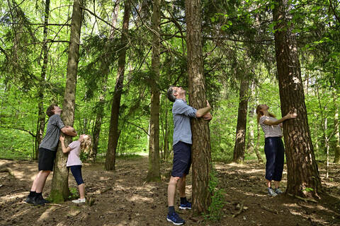 Parents and children embracing tree while standing in forest stock photo