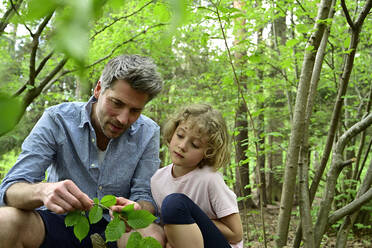 Father showing leaf to daughter while sitting in forest - ECPF01035