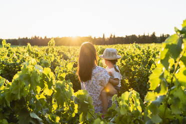 Mother holding her daughter in a vineyard at sunset in Provence, France - GEMF04115