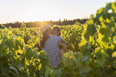 Mutter hält ihre Tochter in einem Weinberg bei Sonnenuntergang in der Provence, Frankreich - GEMF04117