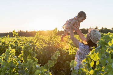 Mutter hält ihre Tochter in einem Weinberg bei Sonnenuntergang in der Provence, Frankreich - GEMF04119