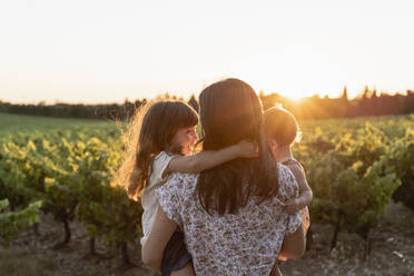 Mutter und kleine Töchter in einem Weinberg bei Sonnenuntergang in der Provence, Frankreich - GEMF04123