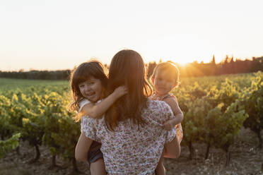 Mutter und kleine Töchter in einem Weinberg bei Sonnenuntergang in der Provence, Frankreich - GEMF04124
