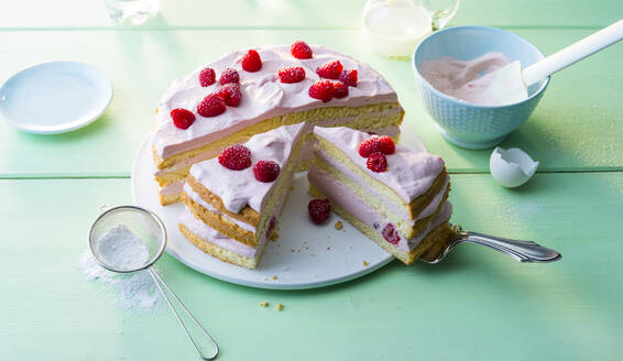 Raspberry layer cake - PPXF00313