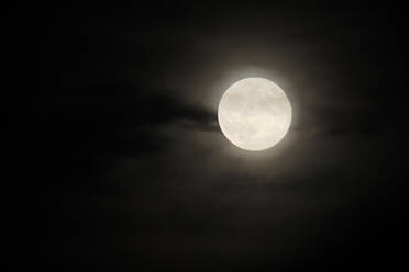 Der Vollmond leuchtet am Nachthimmel - ZCF00992