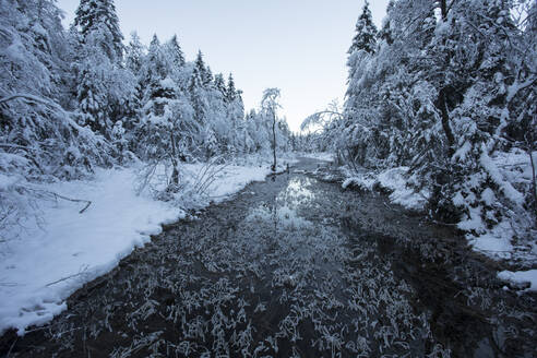 Deutschland, Bayern, Inzell, Frillensee im Winter - ZCF00994