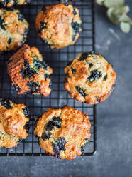 Hausgemachte vegane Blaubeermuffins auf einem Kühlregal vor dunklem Hintergrund. Vertikal. Draufsicht oder flach gelegt. - ADSF14220