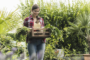 Smiling young woman carrying vegetables in crate while standing amidst plants at garden - UUF21006