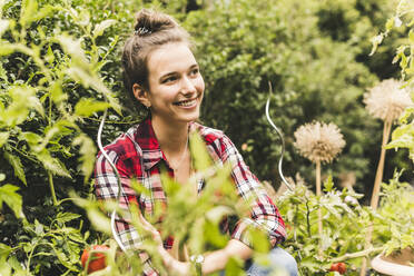 Smiling young woman looking away while sitting amidst plants in vegetable garden - UUF21018