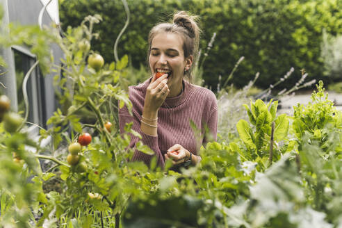 Glückliche junge Frau isst Kirschtomate inmitten von Pflanzen im Gemeinschaftsgarten - UUF21027