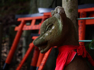 Schäbige Skulptur eines Fuchsgeistes vor einem traditionellen Shinto-Tempel in Japan - ADSF14374