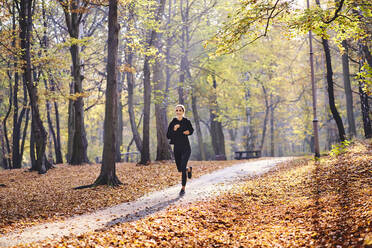 Young woman jogging in autumn forest - BSZF01668