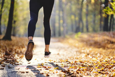 Junge Frau joggt im Herbstwald - BSZF01672