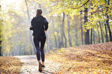 Junge Frau joggt im Herbstwald - BSZF01677